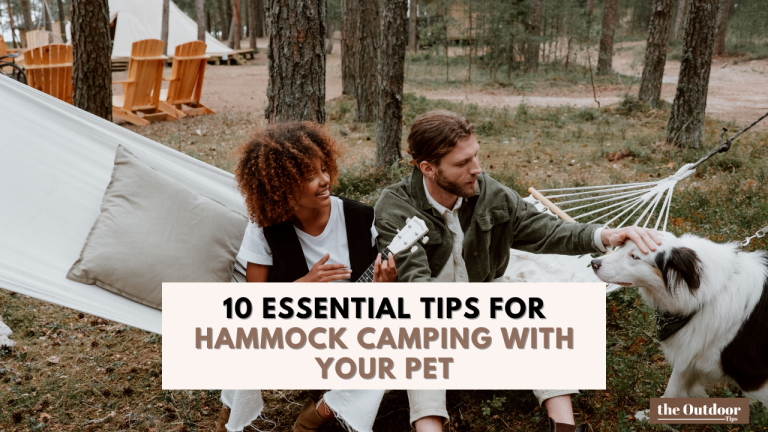 10 Essential Tips for Hammock Camping with Your Pet