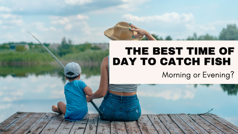 The Best Time of Day to Catch Fish: Morning or Evening?