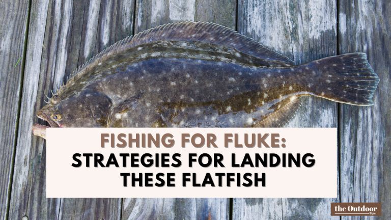 Fishing for Fluke: Strategies for Landing These Flatfish