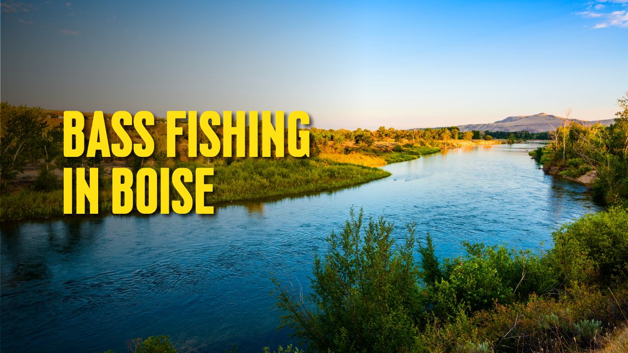 Bass Fishing in Boise