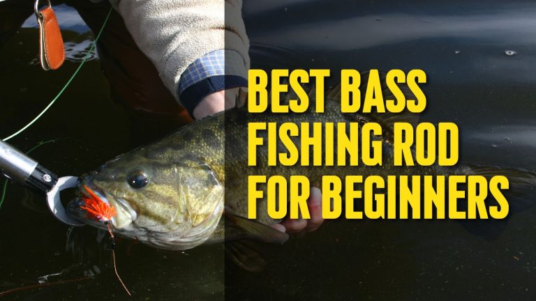Best Bass Fishing Rod for Beginners – A Comprehensive Guide to Help You Reel in Success