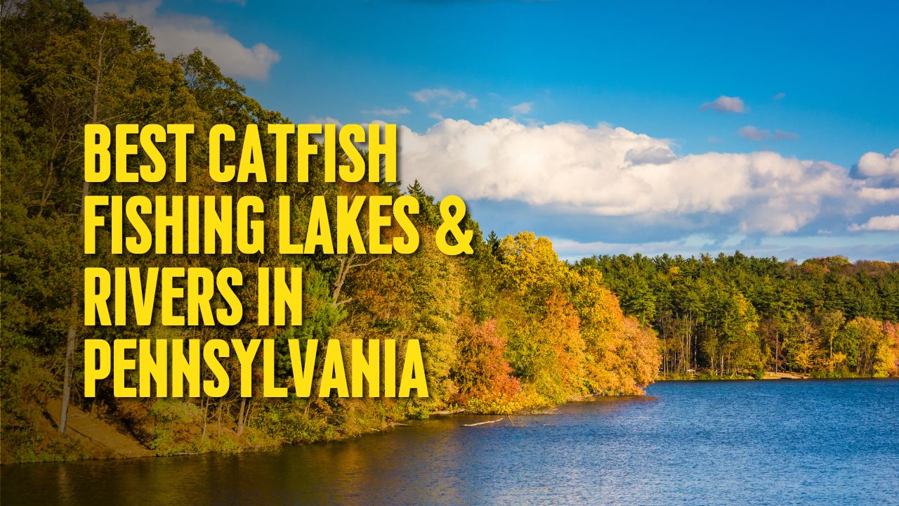 Best Catfish Fishing Lakes & Rivers in Pennsylvania