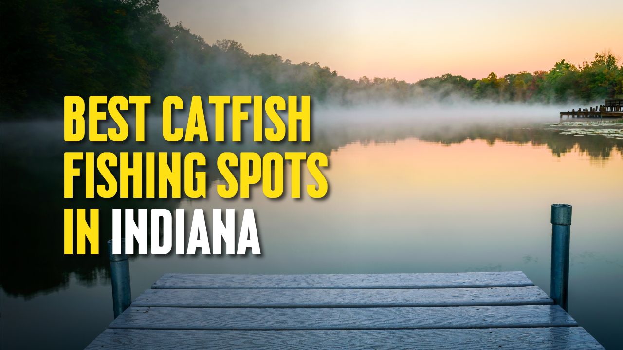 Best Catfish Fishing Spots in Indiana