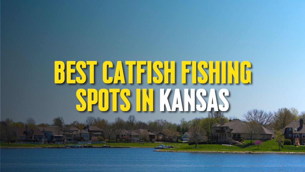 Best Catfish Fishing Spots in Kansas