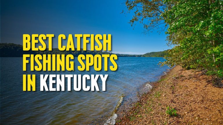 Best Catfish Fishing Spots in Kentucky