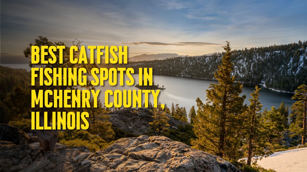 Best Catfish Fishing Spots in McHenry County, Illinois