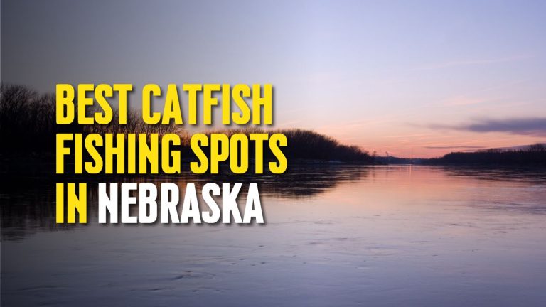 Best Catfish Fishing Spots in Nebraska - The Outdoor Tips