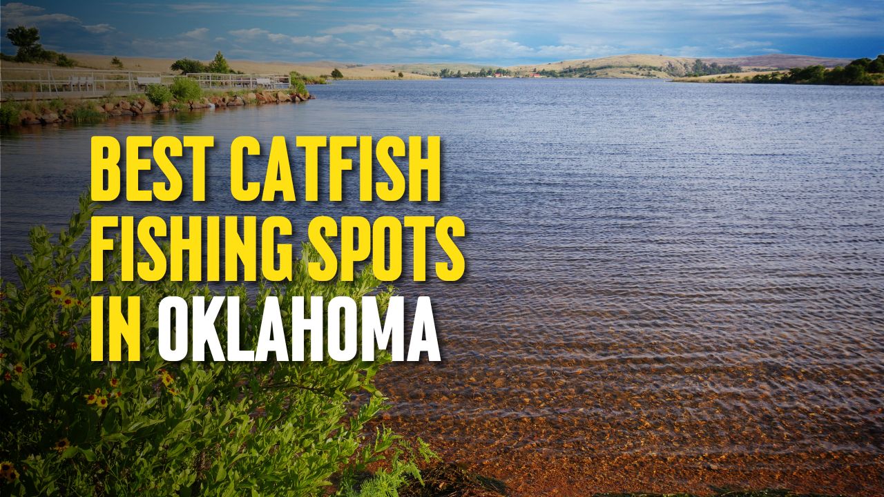 Best Catfish Fishing Spots in Oklahoma