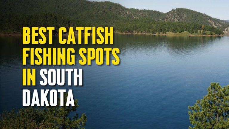 Best Catfish Fishing Spots in South Dakota
