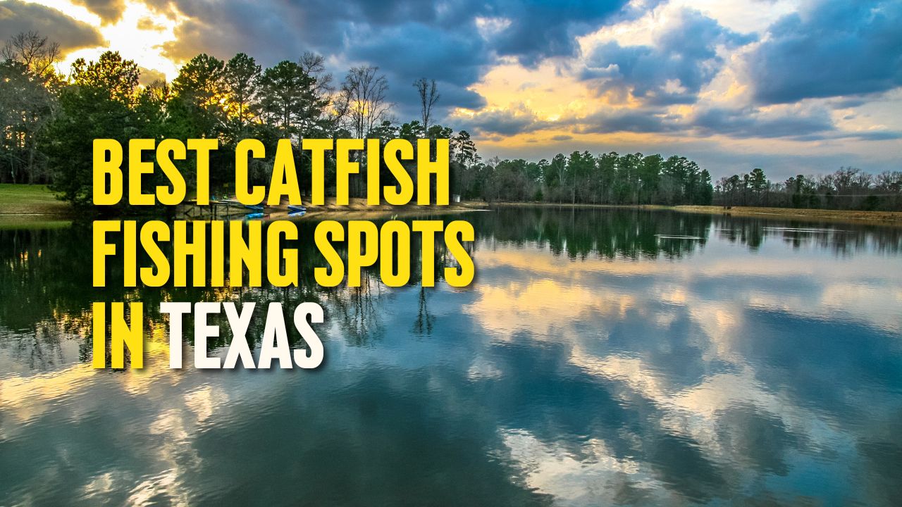 Best Catfish Fishing Spots in Texas