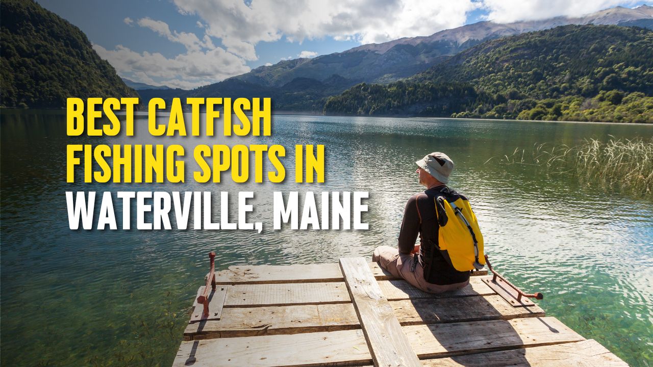 Best Catfish Fishing Spots in Waterville, Maine