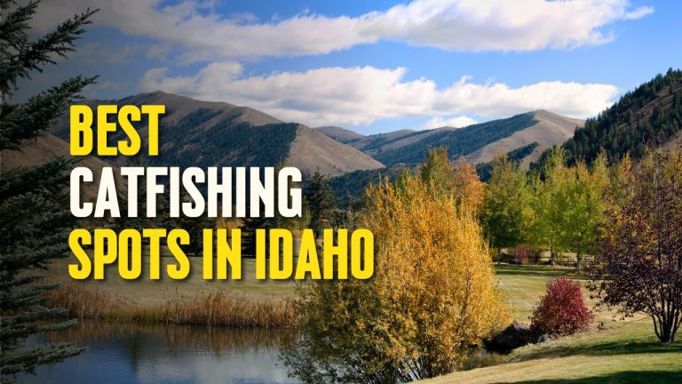 The Ultimate Guide to the Best Catfishing Spots in Idaho