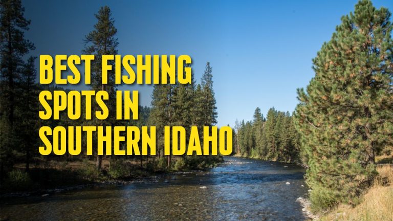 Exploring the Best Fishing Spots in Southern Idaho