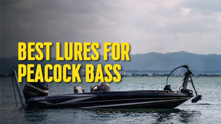Best Lures for Peacock Bass: A Comprehensive Guide for Beginners
