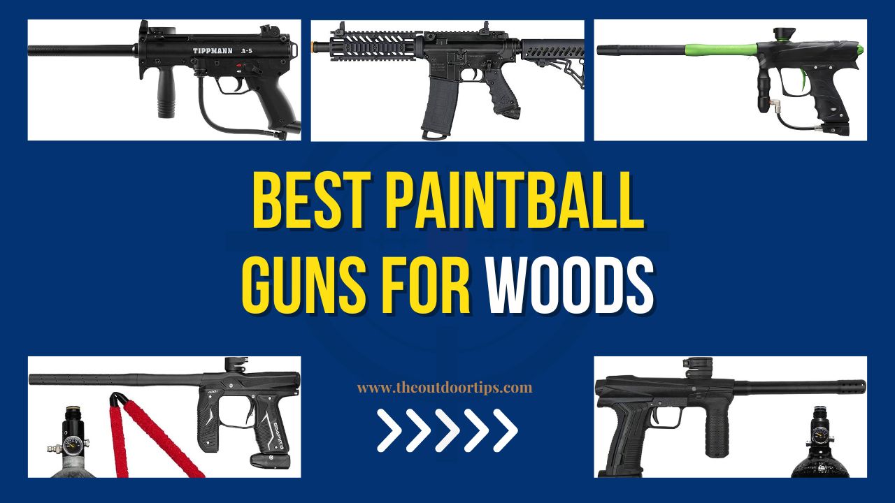 Best Paintball Guns for Woods