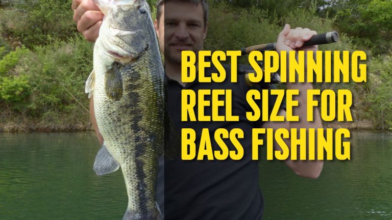 Choosing the Best Spinning Reel Size for Bass Fishing – The Ultimate Guide