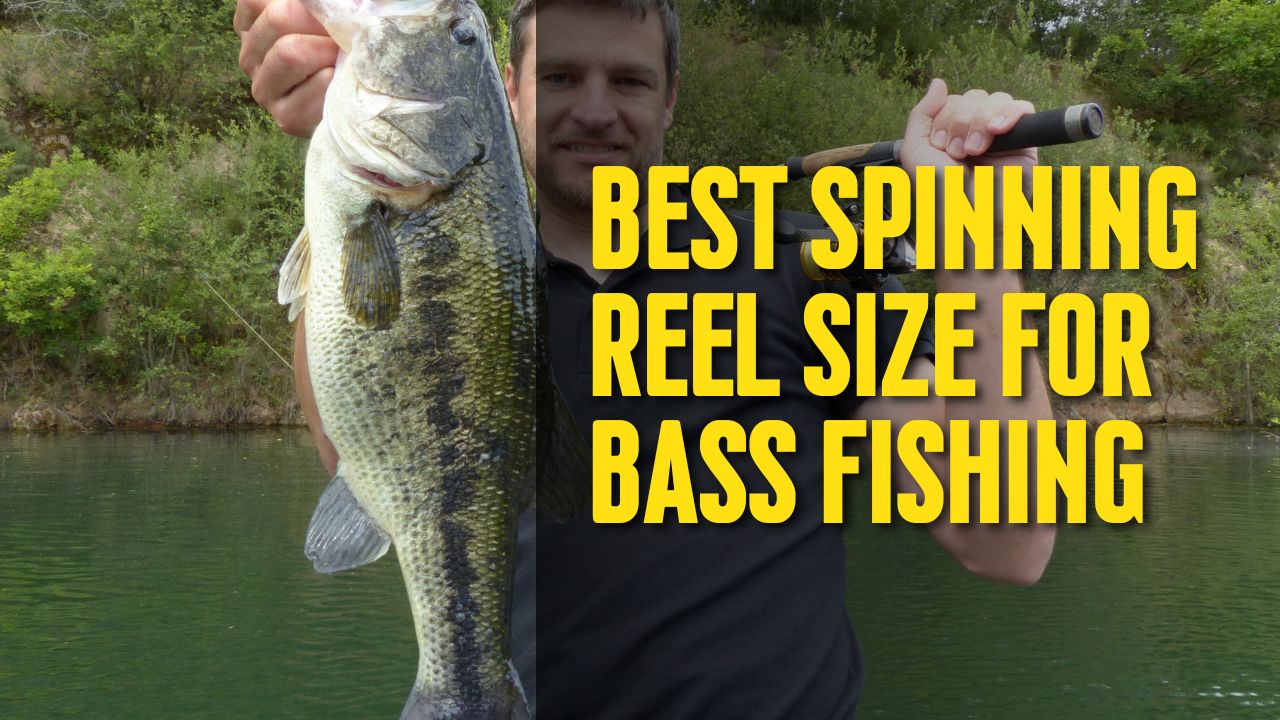 Best Spinning Reel Size for Bass Fishing