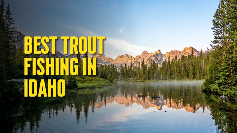 Best Trout Fishing Spots in Idaho