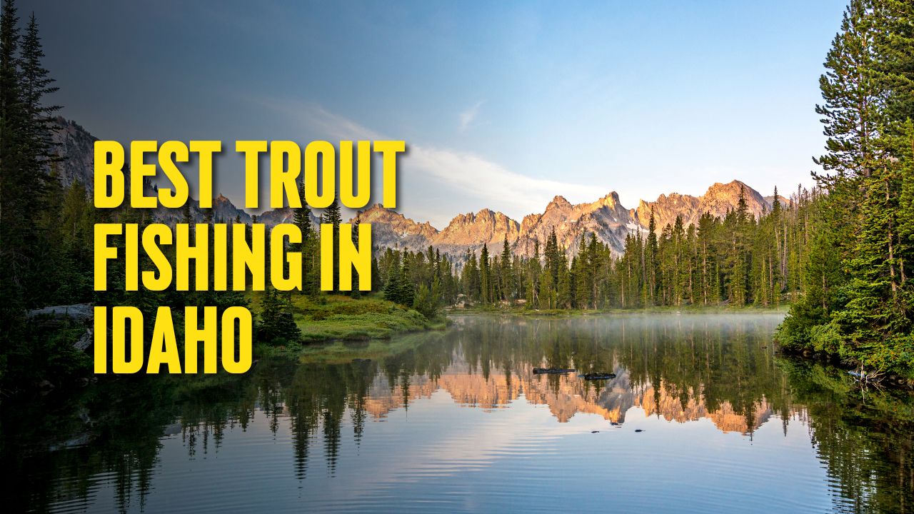 Best Trout Fishing in Idaho