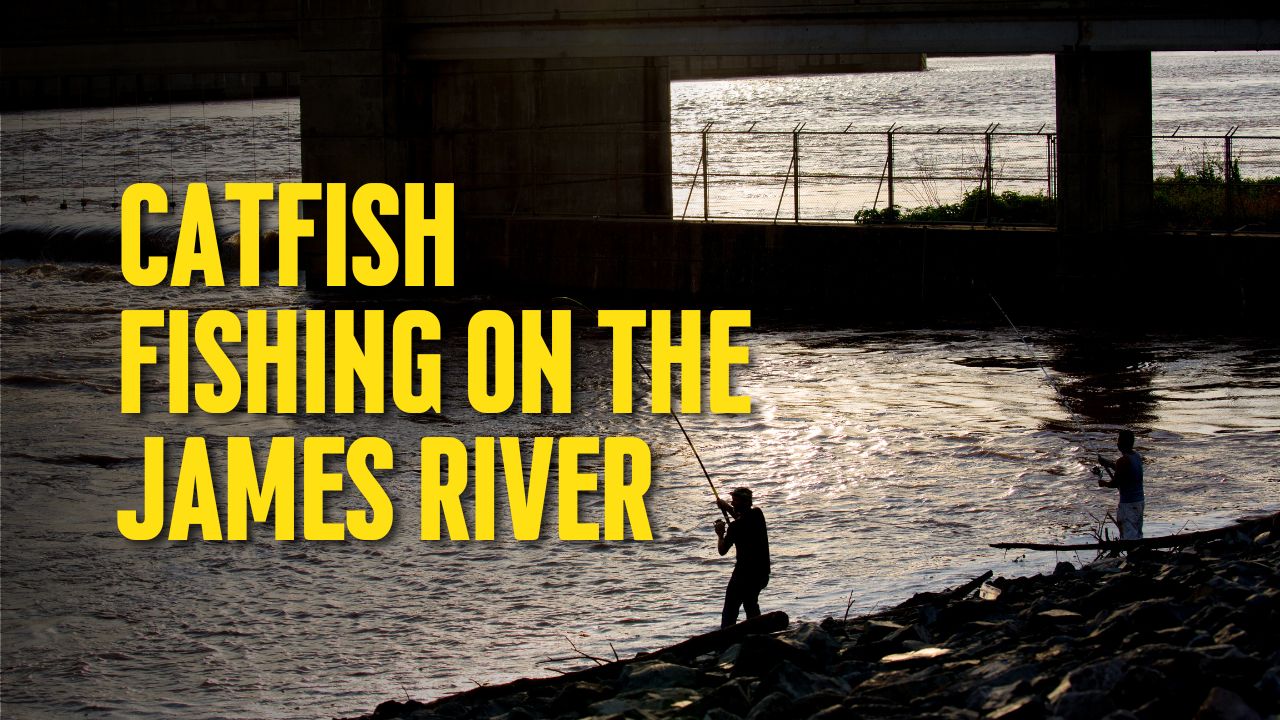 Catfish Fishing on the James River