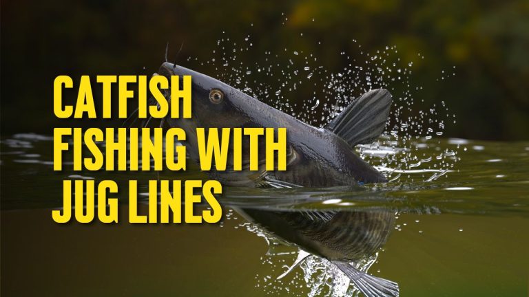 Catfish Fishing with Jug Lines: A Comprehensive Guide for Beginners