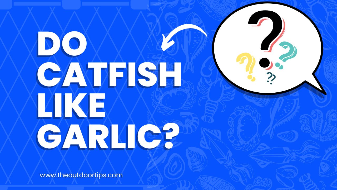 Do Catfish Like Garlic?