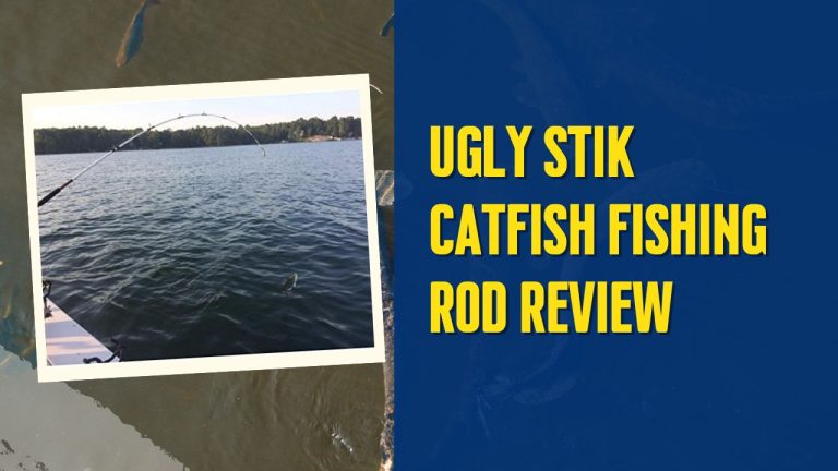 Ugly Stik Catfish Fishing Rod: Unleash the Power and Performance