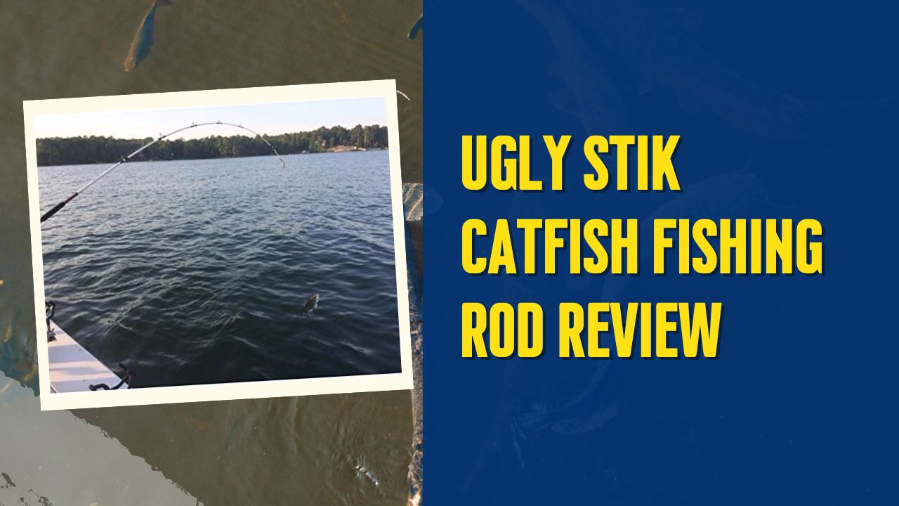 Ugly Stik Catfish Fishing Rod