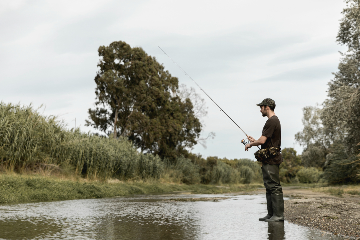 Best Catfish Rods for Bank Fishing